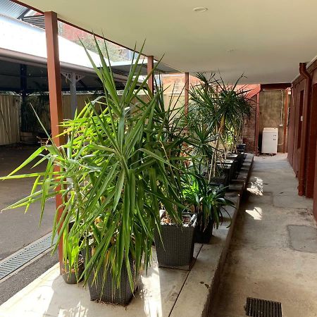 Crown Cbd Motel - City Location Bendigo Extérieur photo